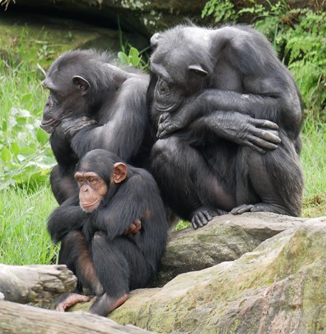 Photo by Deadfisheye