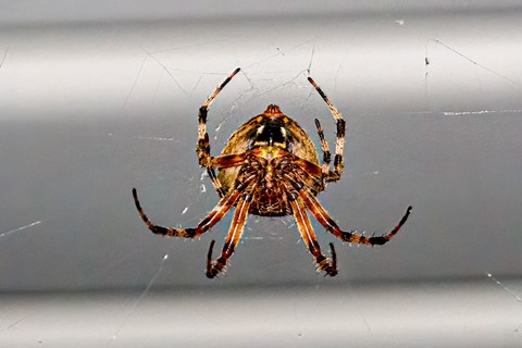 Photo by MichaelP_8157