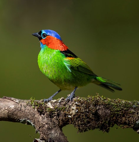 Photo by itamarcampos