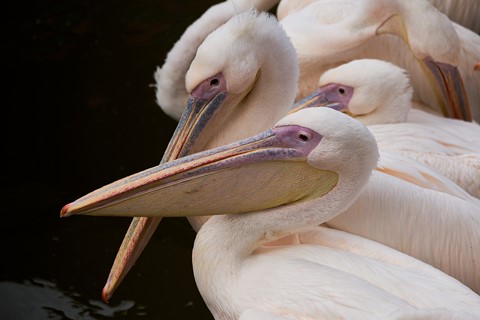 Photo by Didier FUYA