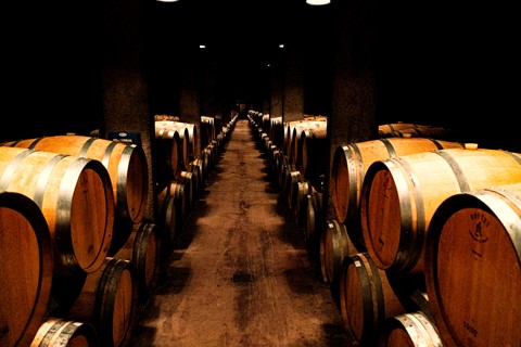 Photo by MagelaCabreraArias