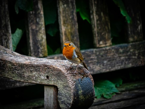 Photo by PhilRogersPhoto