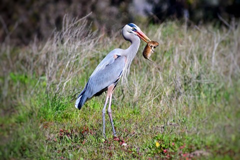 Photo by itsallBb2me