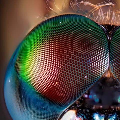 Photo by Canonman1960