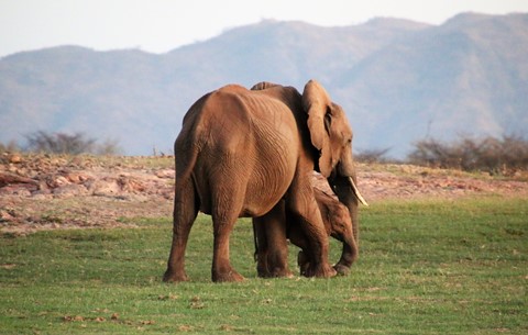 Photo by Nilesh Trivedi