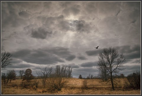 Photo by Madeleine Hart