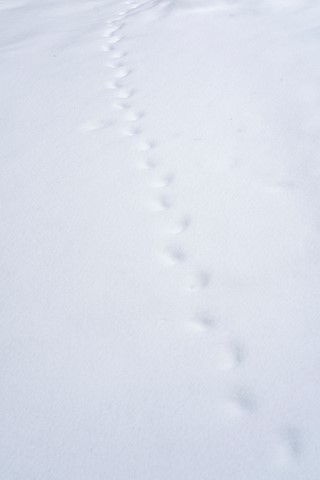 Photo by MichaelP_8157