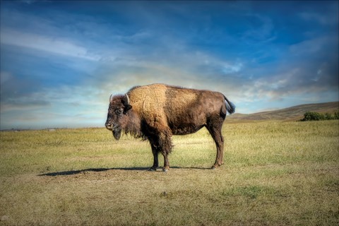 Photo by Mitchmeister