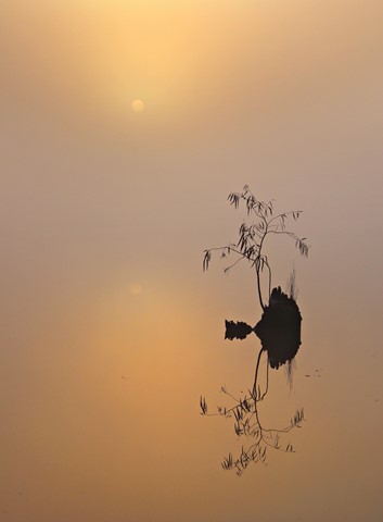 Photo by Jill Hancock