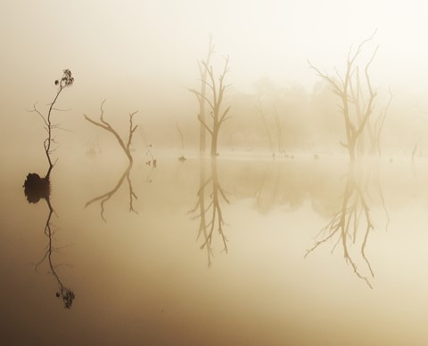 Photo by Jill Hancock