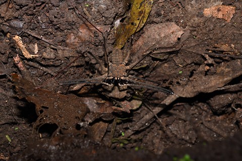 Photo by Mark B Willey