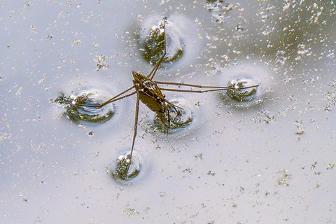 Photo by Sagittarius