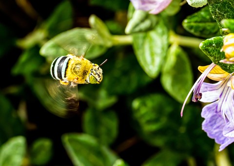 Photo by backayonder