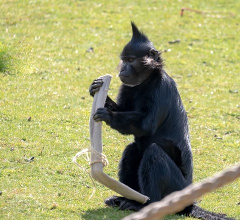 Photo by softmarmotte