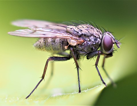 Photo by Deadfisheye