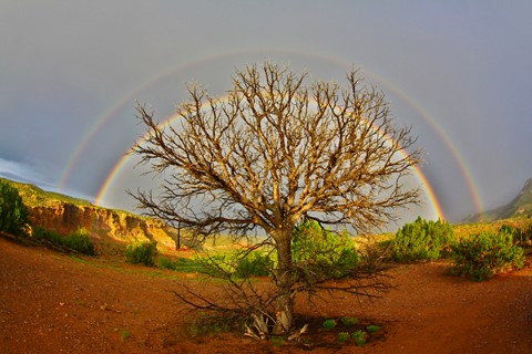 Photo by abiquiuense