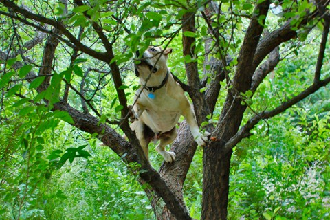 Photo by abiquiuense