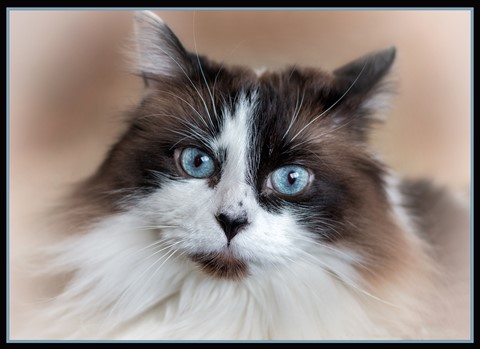 Photo by Madeleine Hart