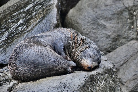 Photo by Mark B Willey