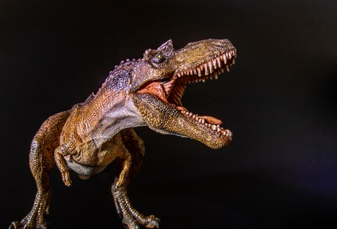 Photo by Rodger in Edmonton