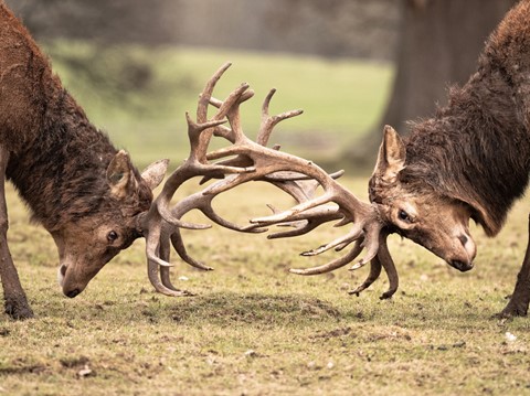 Photo by Interceptor121