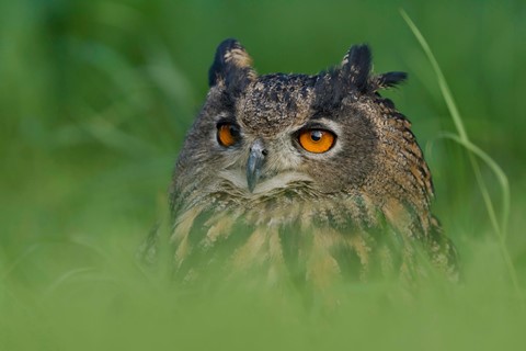 Photo by verybiglebowski