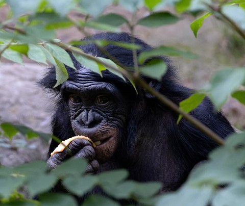 Photo by takenbyapicture