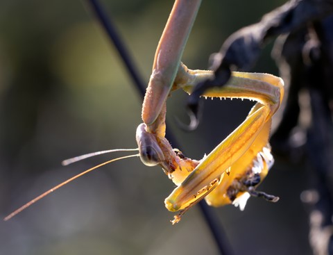 Photo by takenbyapicture