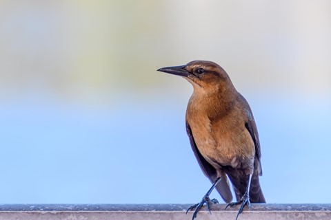 Photo by Sagittarius