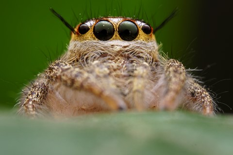 Photo by BhairavPaleja