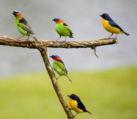 Photo by itamarcampos