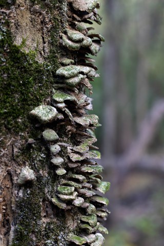 Photo by takenbyapicture