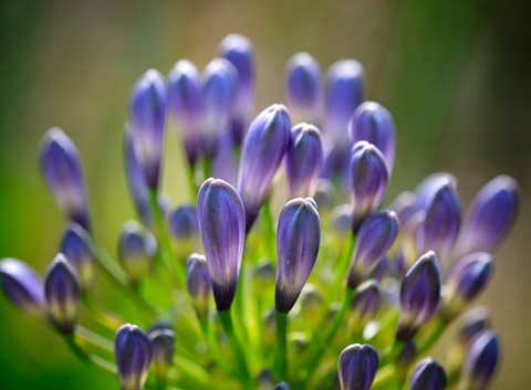 Photo by releasebutton