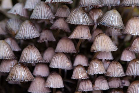 Photo by releasebutton