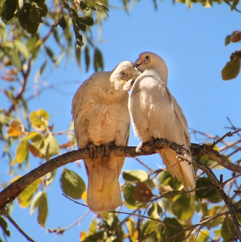 Photo by Jill Hancock