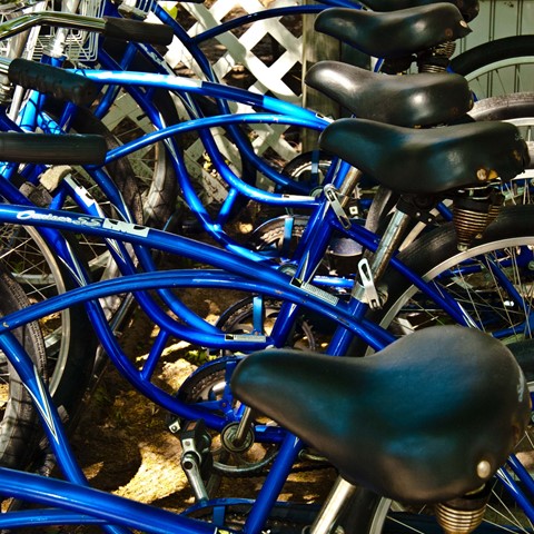 Photo by James Korringa