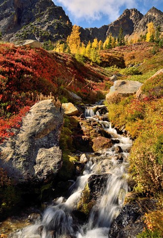 Photo by Fall color under the sun