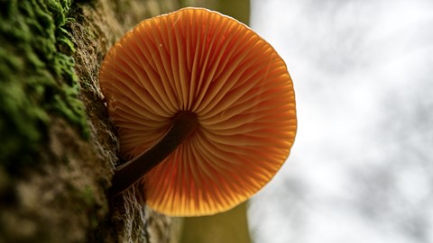 Photo by Brightrider