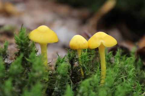 Photo by Pause a Moment