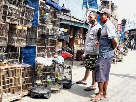 Photo by belalang tempur