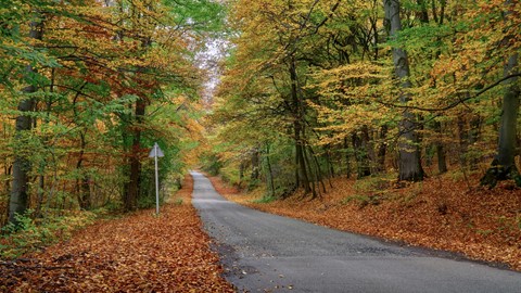 Photo by Brightrider