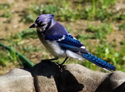 Photo by Pause a Moment