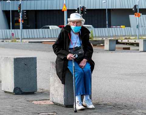 Photo by Mitchmeister