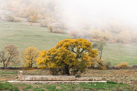 Photo by Bender79ita