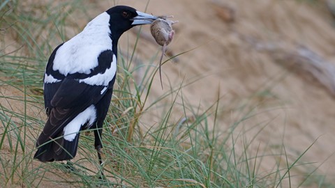 Photo by Paul S Churcher