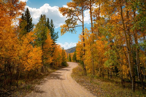 Photo by Richard Carande