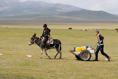 Photo by manishtushu