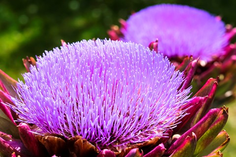 Photo by Didier Quan