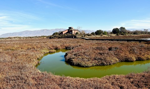 Photo by jacqueparees