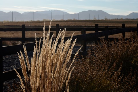 Photo by georgehudetz